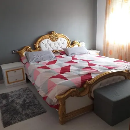 Andreea Apartment *